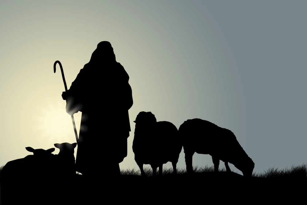 Shepherding Ministries Are Not Like Another Job: Understanding the Difference