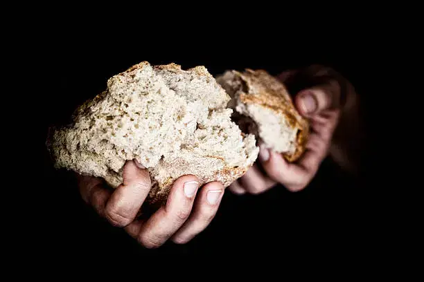 The World Needs Good Bread